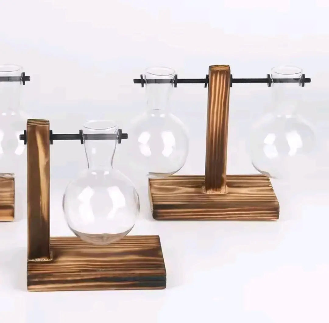 Indoor Glass Hydroponic Plant – Minimalist Water Plant for Tabletop & Office Decor BK Store